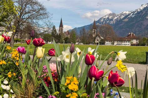 interlaken canton of bern switzerland|interlaken switzerland what to do.